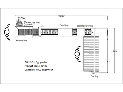 Яйцесортировочная машина 101BS (4,000 яиц/час)