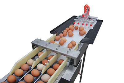 Вакуумный подъемник для яиц и система сбора