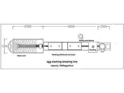 Линия для обработки яиц 300C