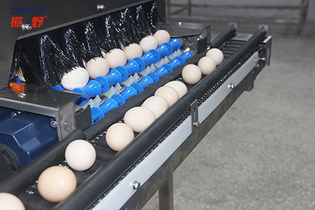 Система сбора яиц 605G
