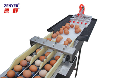 Система сбора яиц 604A